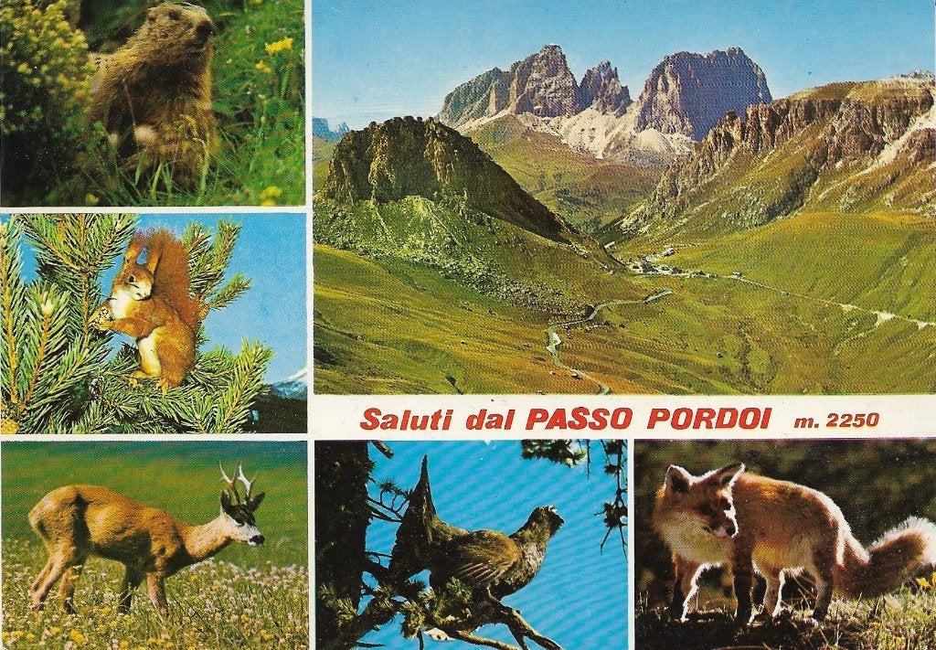 Ansichtkaart  	Pordoi pas (Italië)	6-luik, Verzenden, 1960 tot 1980, Gelopen, Italië