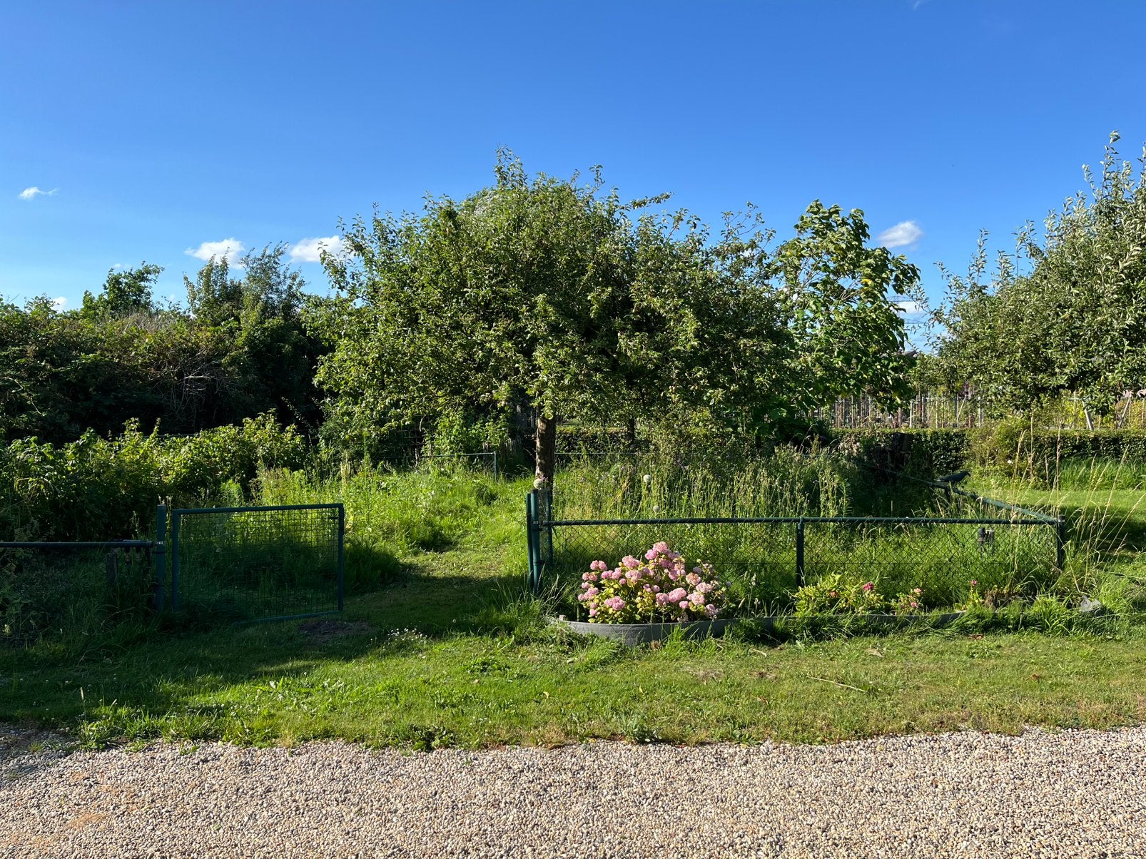 Groen metalen gaashek, Tuin en Terras, Tuinhekken en Hekwerk, Ophalen, Met poort, Gebruikt, Gaashekwerk