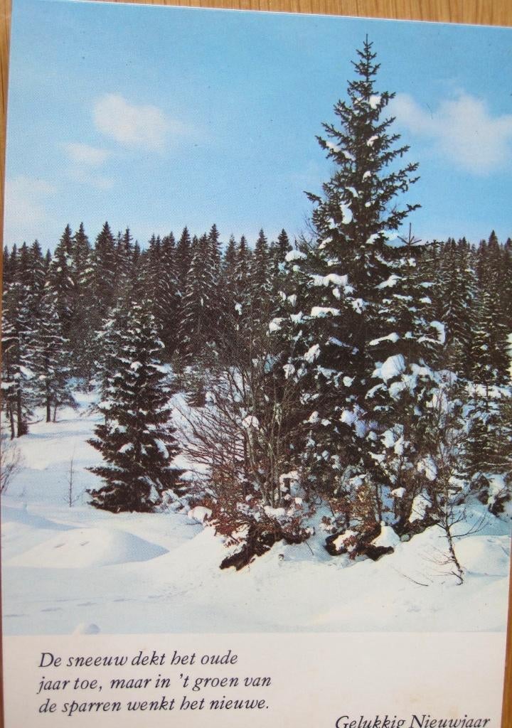spreuken - de sneeuw dekt het oude jaar toe, Verzenden, 1980 tot heden, Gelopen, Overige thema's