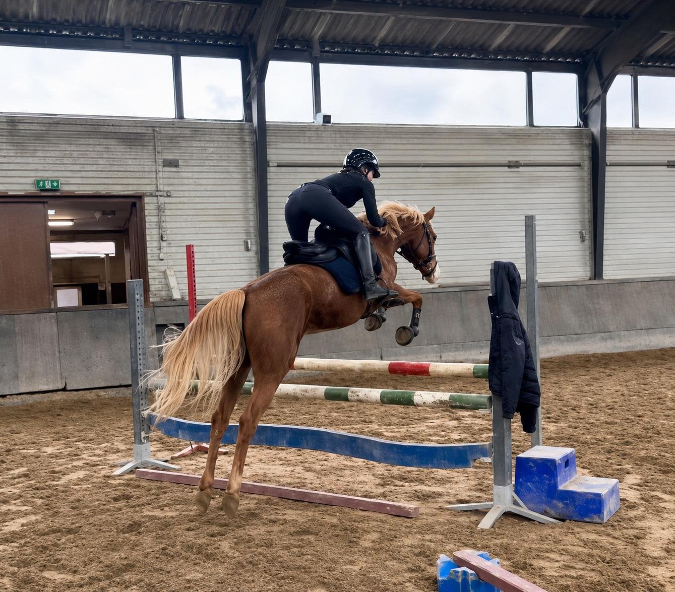 4 jarige sportpony, Dieren en Toebehoren, Pony's, Merrie, 3 tot 6 jaar