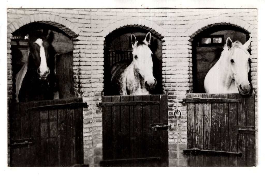 Waalwijk Manege  Vlaenderhof, Verzamelen, Ophalen of Verzenden, 1940 tot 1960, Ongelopen, Noord-Brabant