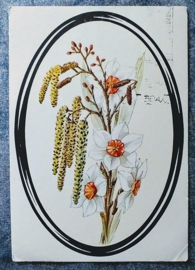 Kaart: Hendrik Pierson Vereniging 1970 [5134]  [VeAnAn], Verzamelen, Ophalen of Verzenden, 1960 tot 1980, Gelopen, Natuur