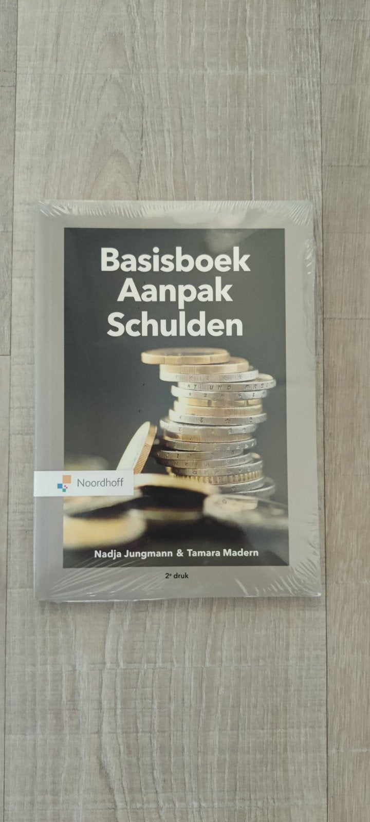 Nadja Jungmann - Basisboek aanpak schulden GESEALD, Sociale wetenschap, Ophalen of Verzenden, Zo goed als nieuw, Nadja Jungmann; Tamara Madern