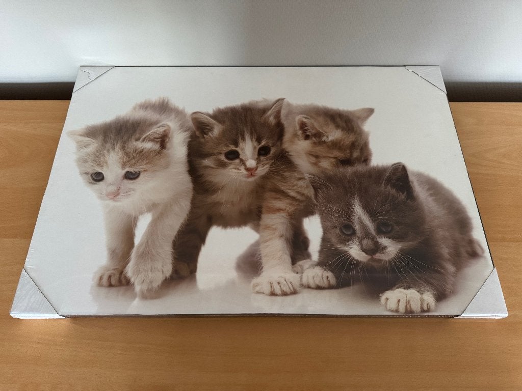 Schilderij kittens, Ophalen of Verzenden, 3D-effect, Dieren