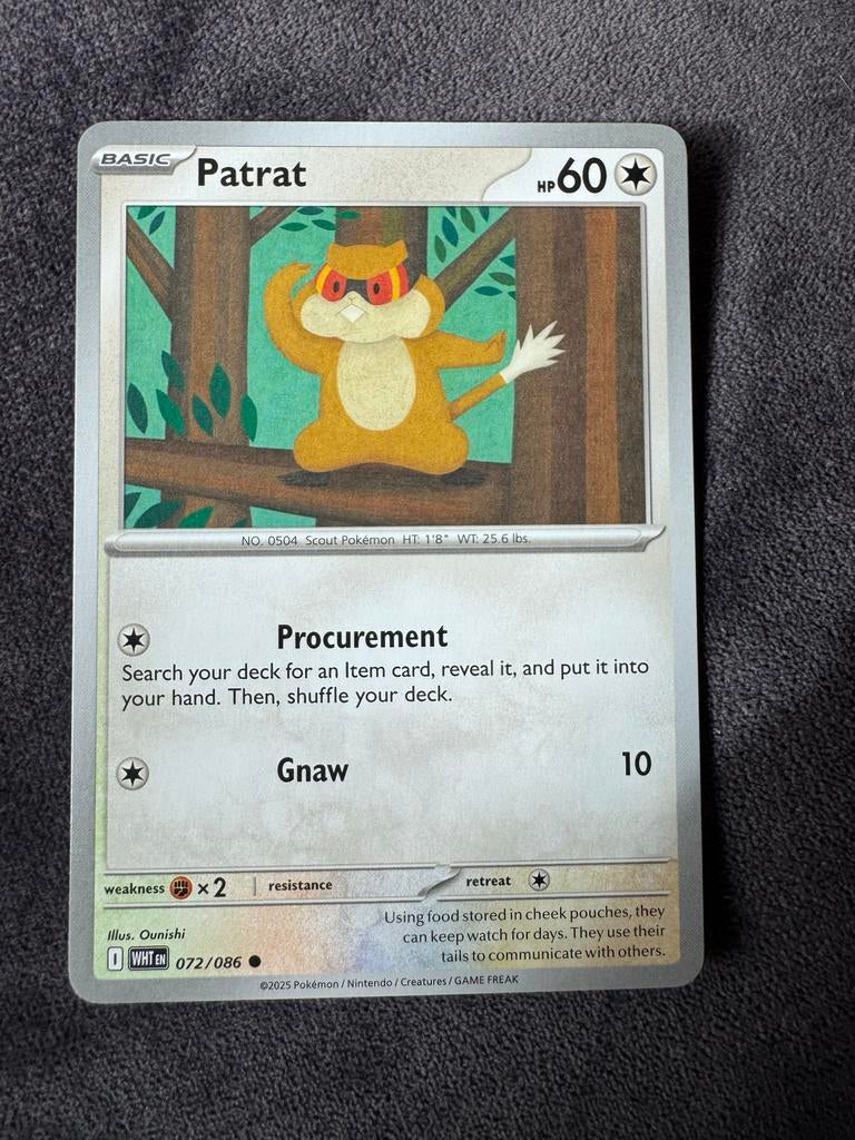 Patrat Pokémon Kaart - Basic HP60, Ophalen of Verzenden, Zo goed als nieuw, Losse kaart