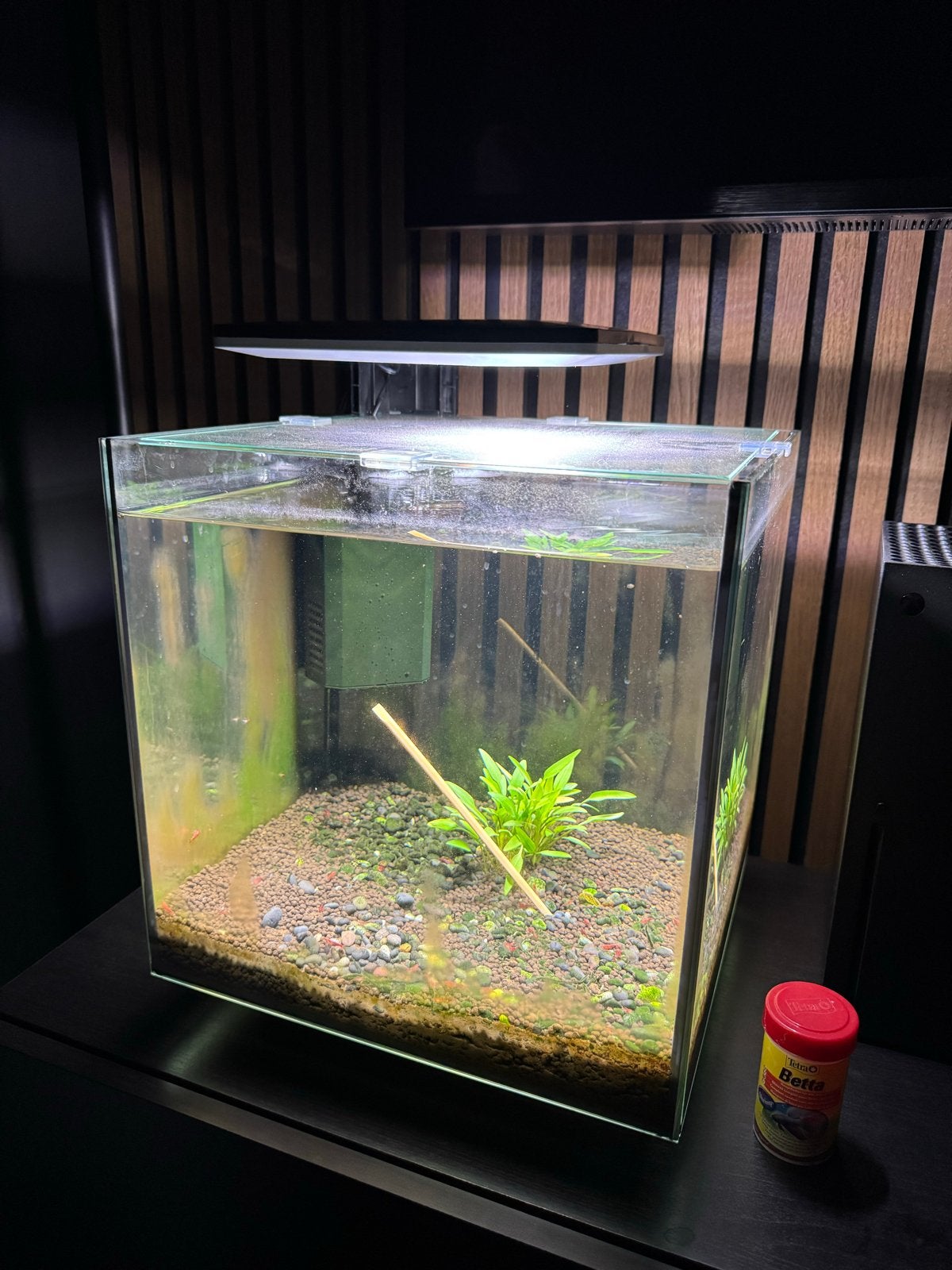 Aquarium cube 30 te koop incl 50 garnalen, Ophalen, Pomp, Zo goed als nieuw, Gevuld zoetwateraquarium