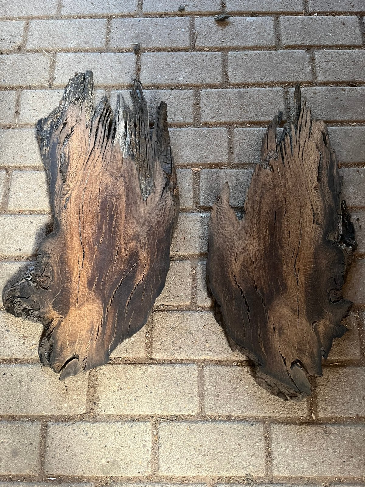 Uniek moeras eiken geschikt voor epoxy werk mos schilderijen, Huis en Inrichting, Woonaccessoires | Wanddecoraties, Ophalen, Nieuw