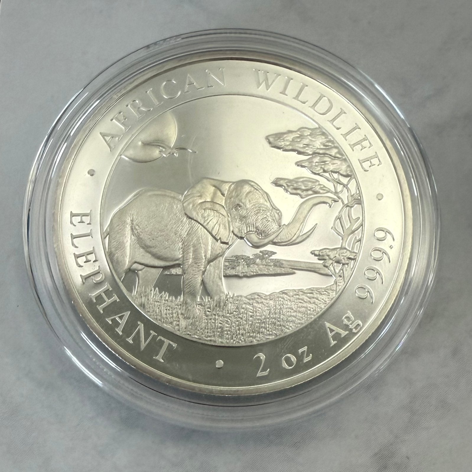 2oz 2019 Zilver Somali Republic - Leopard African Wildlife., Ophalen of Verzenden, Midden-Oosten, Zilver