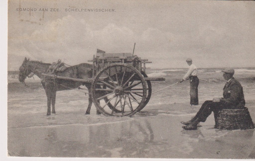 Egmond aan Zee 2220, Verzenden, Voor 1920, Gelopen, Noord-Holland