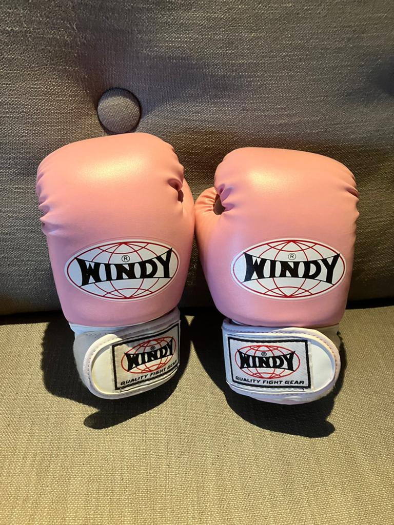 Windy bokshandschoenen boksen handschoenen kind kinderen, Ophalen of Verzenden, Zo goed als nieuw, Bokshandschoenen