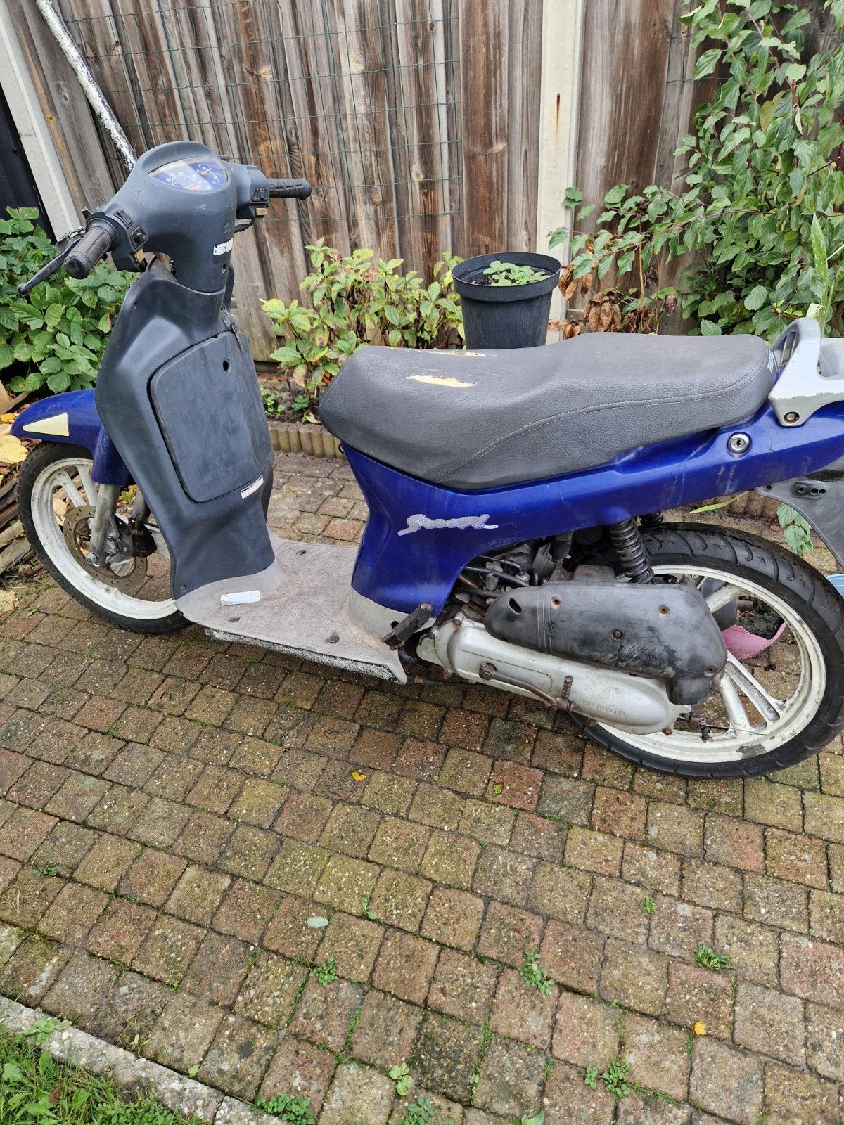 Honda Scoopy SH50 Onderdelen, Ophalen of Verzenden, Gebruikt, Honda