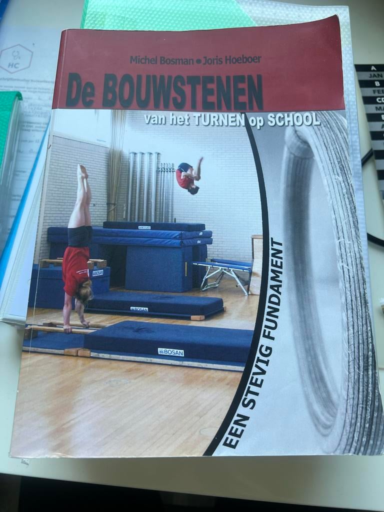 De Bouwstenen van het Turnen op School - Michel Bosman, Boeken, Studieboeken en Cursussen, Gelezen, HBO, Alpha, Ophalen of Verzenden