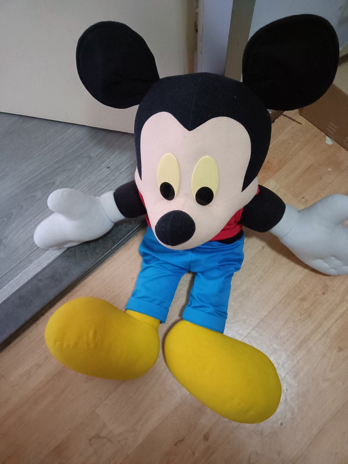 Mickey Mouse knuffel, Ophalen, Overige typen