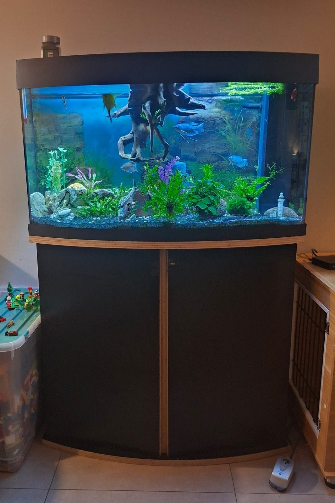 aquarium 180 liter, Vis