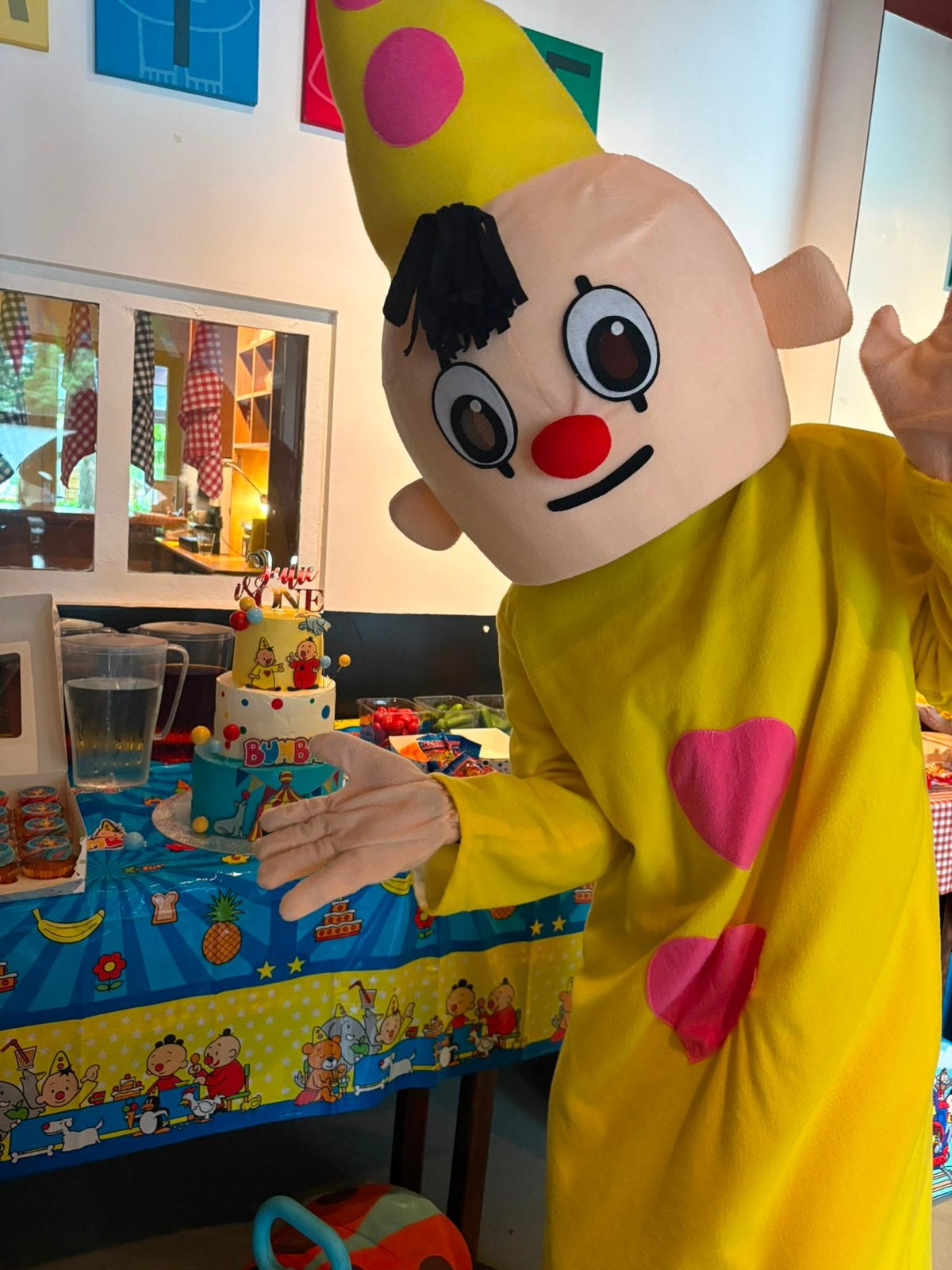 Mascotte te huur- kinderhelden, Hobby en Vrije tijd, Ophalen, Zo goed als nieuw, Verjaardag