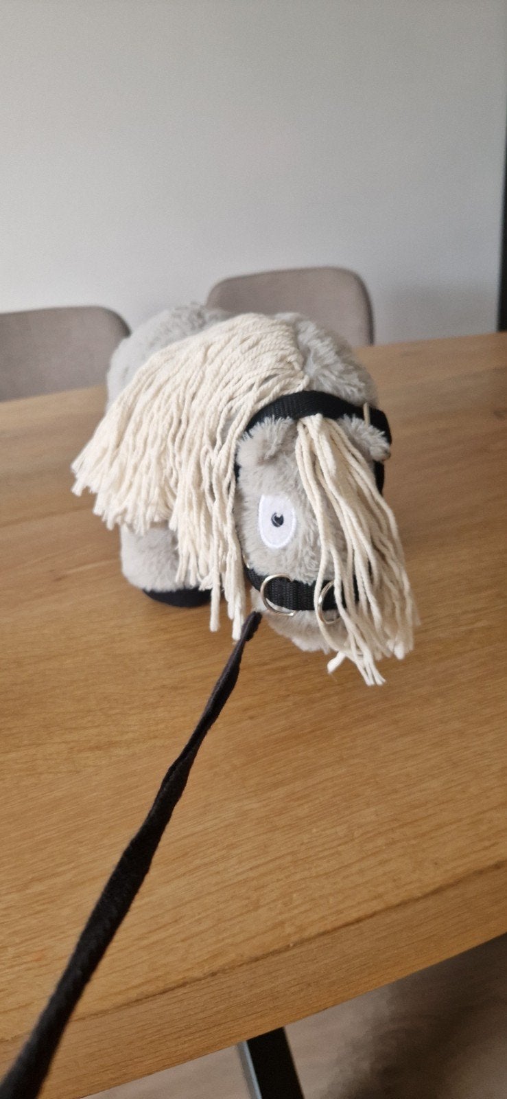 Crafty Pony met longeerset - Realistisch speelplezier, Ophalen, Paard, Overige merken, Overige karakters