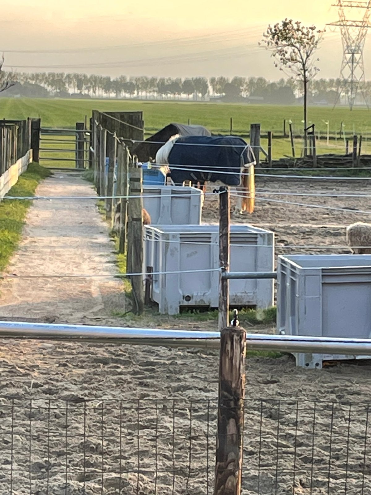 Stalling aangeboden voor pony (max 1,50) Oterleek (=omg. Hhw, Stalling, 1 paard of pony