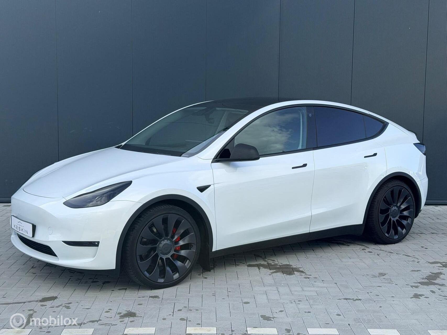 Tesla Model Y Performance AWD 75 kWh, Auto's, Automaat, Gebruikt, 462 pk, 1972 kg