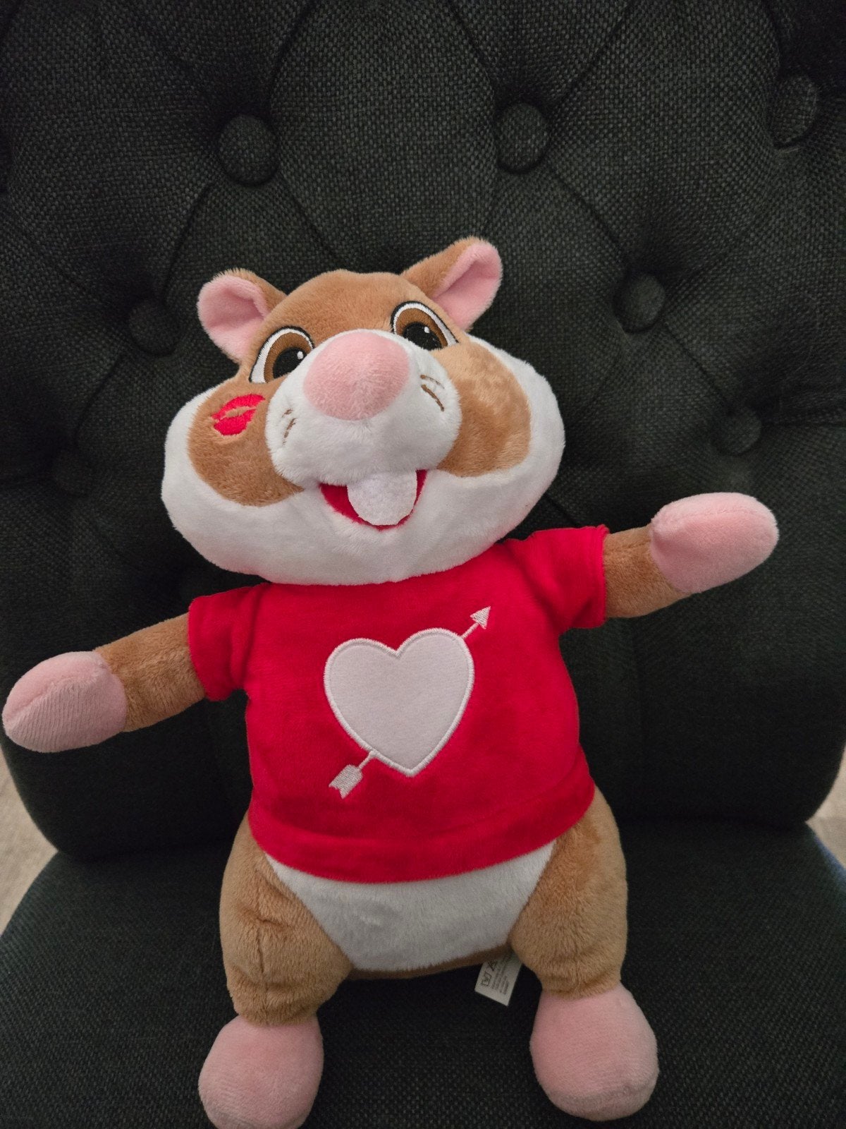albert heijn hamsters voetbal valentijn, Ophalen of Verzenden, Overige typen