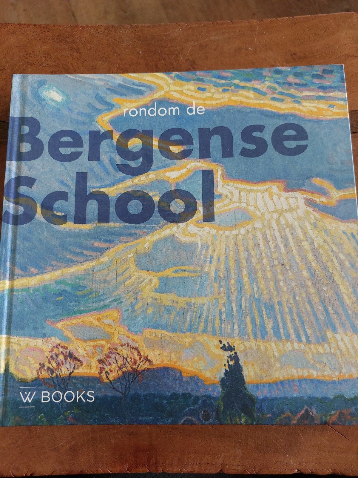 Rondom de Bergense school, Ophalen of Verzenden, Zo goed als nieuw