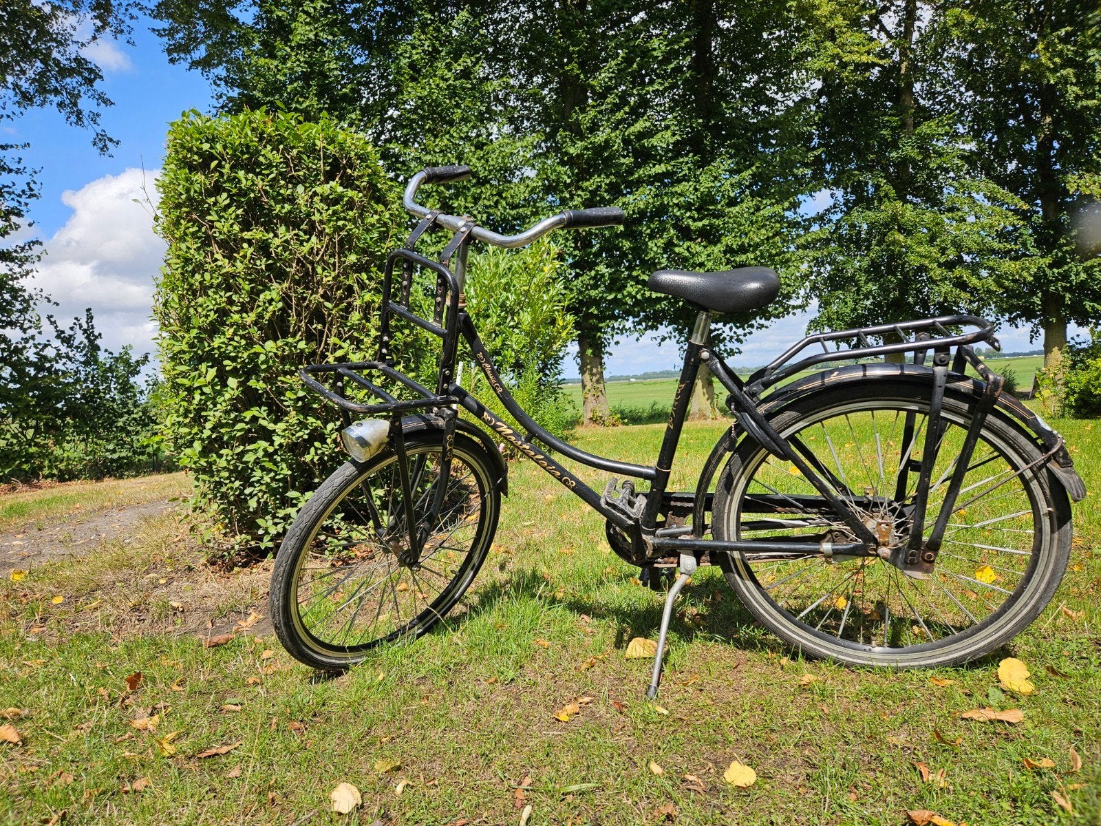 Transportfiets/ omafiets meisje 16 inch (5-7 jaar), Ophalen, Gebruikt, 16 tot 20 inch