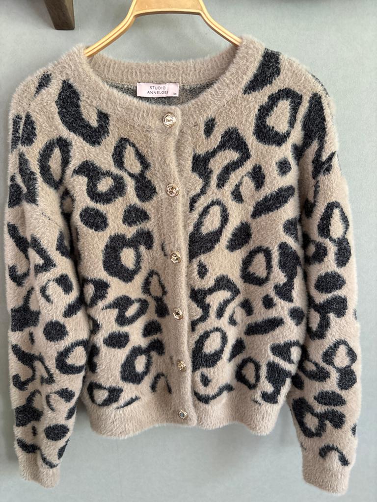 Studio Anneloes vest met luipaardprint, maat XS, Kleding | Dames, Truien en Vesten, Ophalen of Verzenden, Zo goed als nieuw, Maat 34 (XS) of kleiner