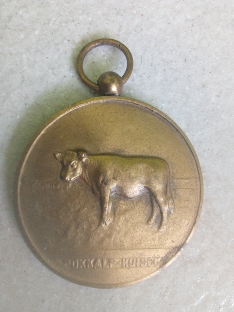 Penning Rund.  Wijchen-Druten, Ophalen of Verzenden, Brons, Nederland