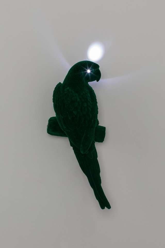 Bold monkey lamp parrot, Ophalen, Nieuw