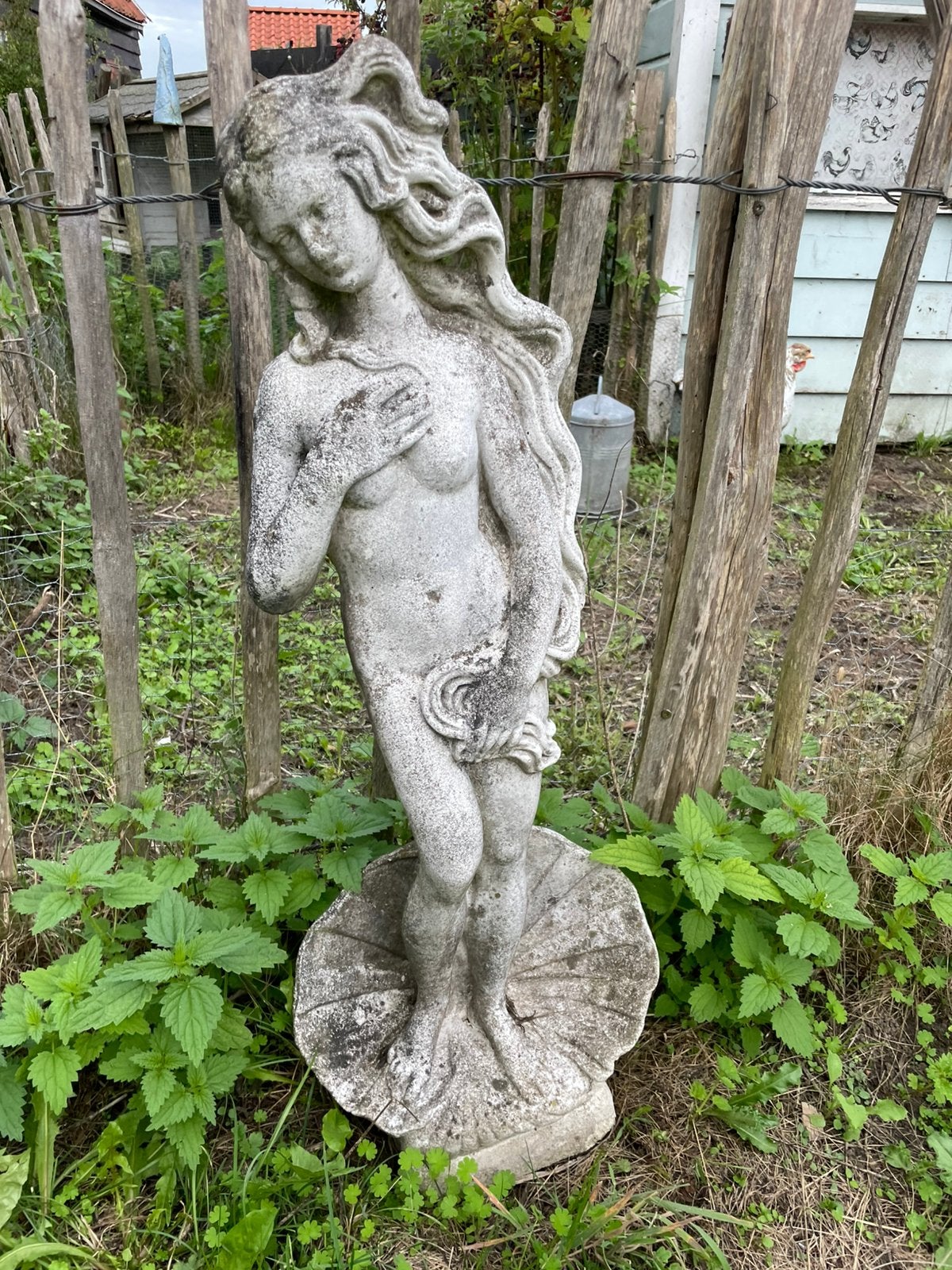 Venus, Tuin en Terras, Tuinbeelden, Ophalen, Gebruikt, Beton