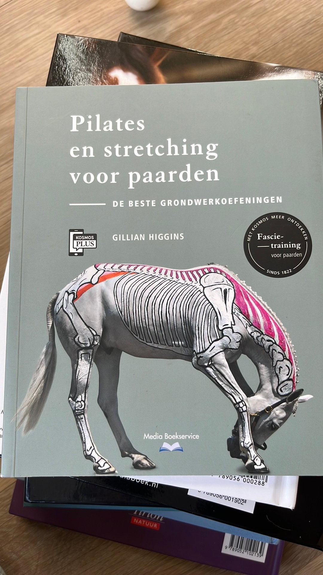 Gillian Higgins - Pilates en stretching voor paarden, Boeken, Ophalen of Verzenden, Zo goed als nieuw, Gillian Higgins