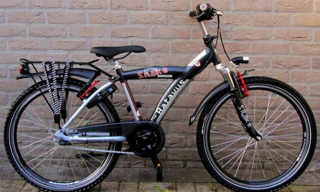 Batavus Snake 24 Inch - 3 Versn., Ophalen, Terugtraprem, 24 inch, Batavus Snake Alpina Trial Yabber cube bulls loekie sparta
