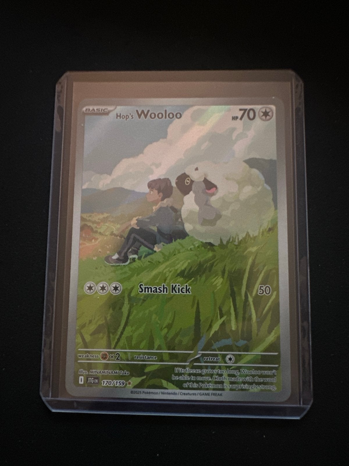 Hop's Wooloo journey together, Ophalen of Verzenden, Zo goed als nieuw, Losse kaart