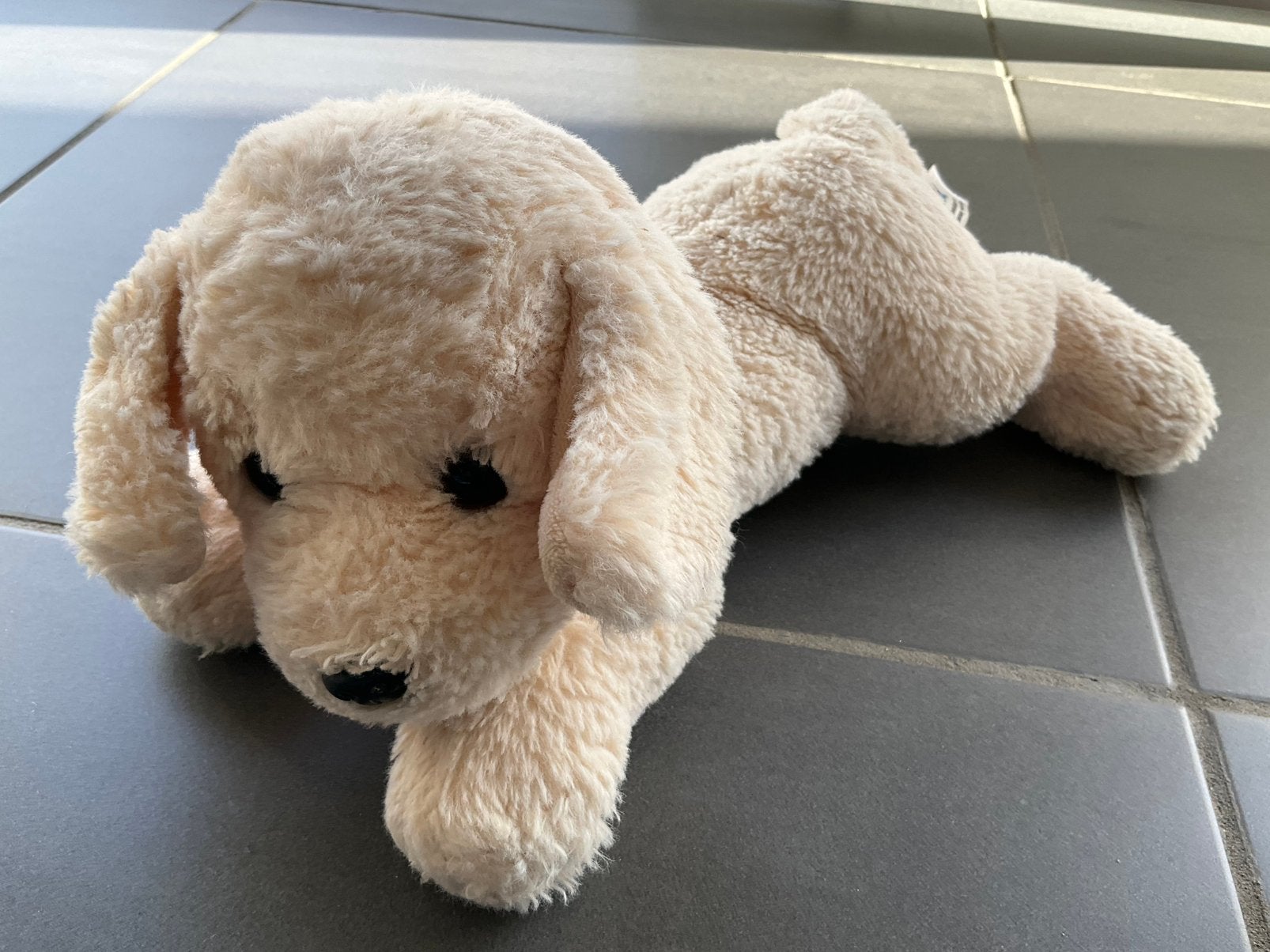 Knuffel hondje, Ophalen of Verzenden, Zo goed als nieuw, Hond