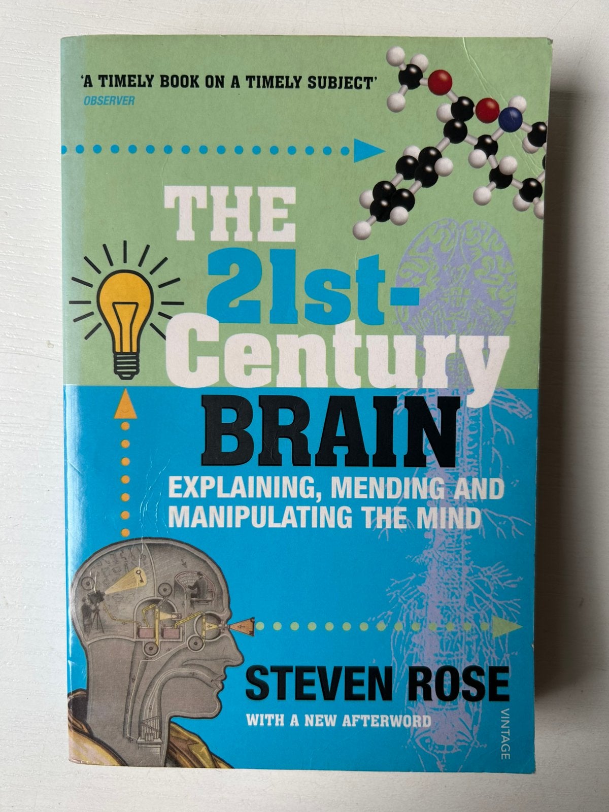 The 21st- century brain Steven Rose, Ophalen of Verzenden, Gelezen
