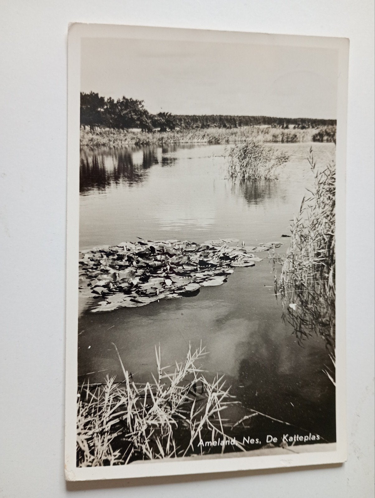 Ameland Nes De Katteplas 1958, Ophalen of Verzenden, 1940 tot 1960, Gelopen, Waddeneilanden