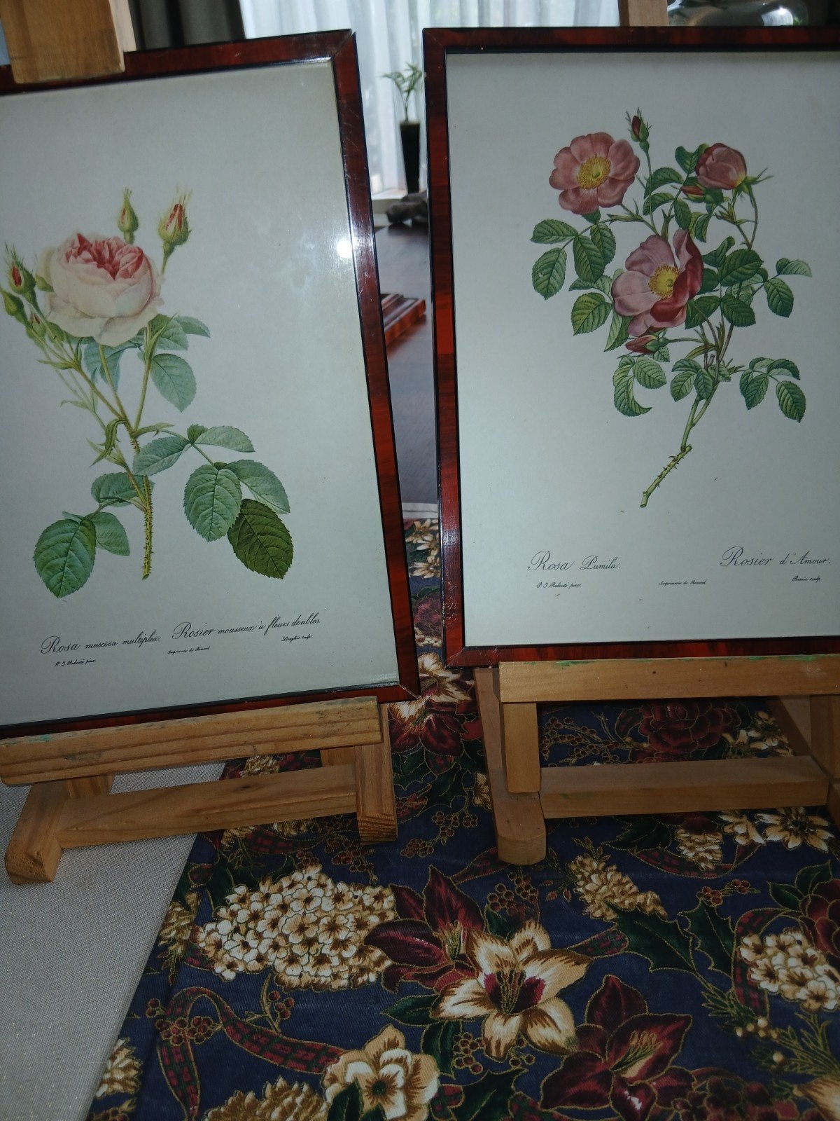 Set van 2 ingelijste botanische rozenprints, Ophalen of Verzenden, Print, Print/reproductie, Ingelijst