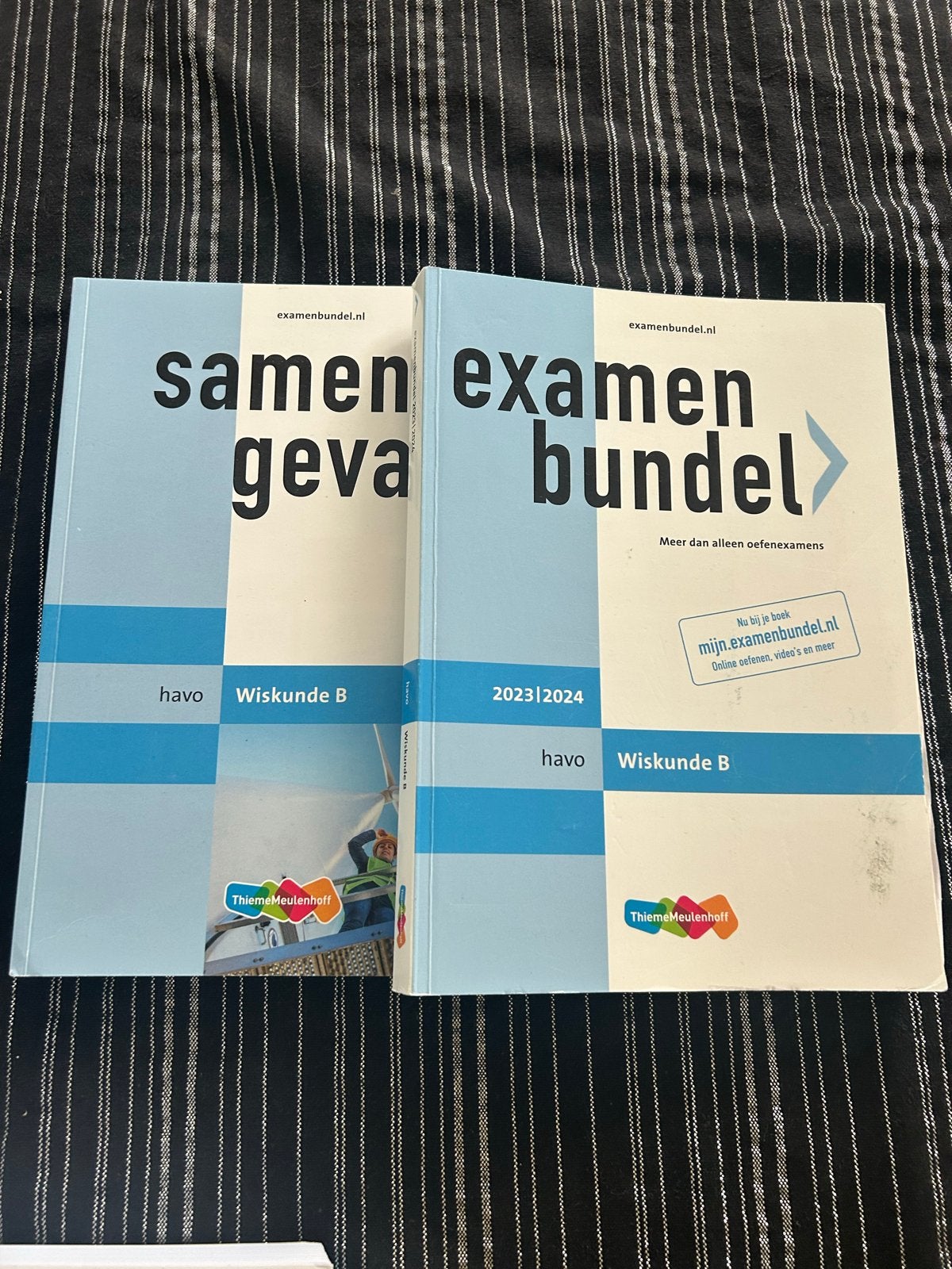 Examenbundels & samengevat HAVO, diverse vakken, Boeken, Ophalen of Verzenden, Gelezen, HAVO, Wiskunde B