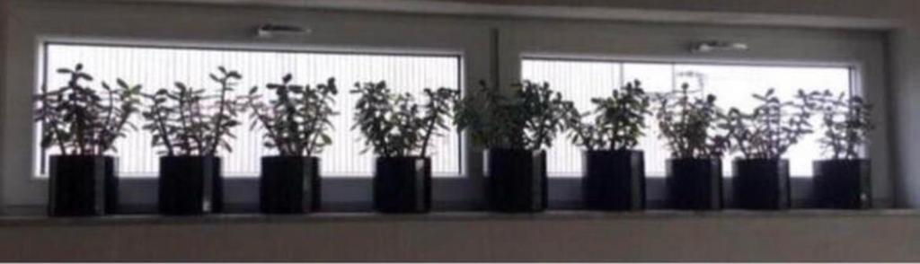 Mooie zwarte vintage bloempotten keramiek glans set van 9, Gebruikt, Rond, Binnen, Ophalen of Verzenden