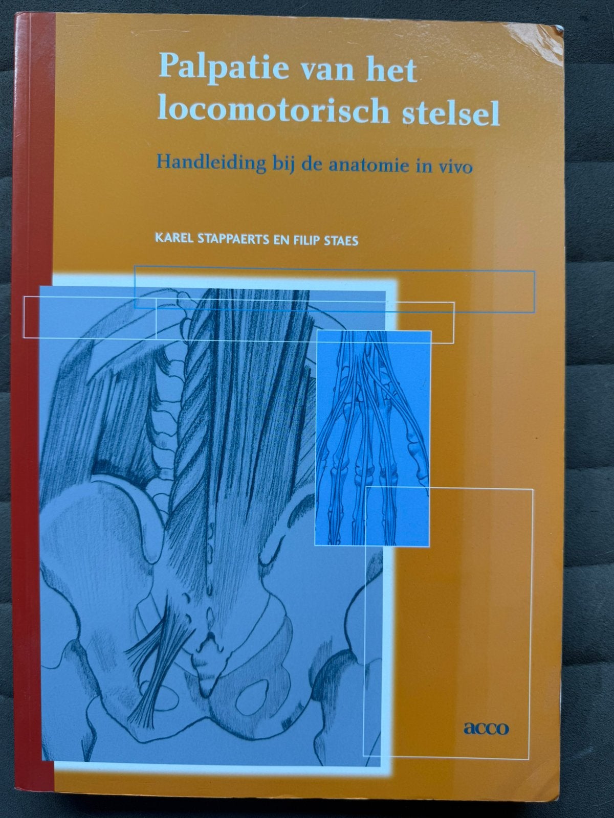 Palpatie van het locomotorisch stelsel, Boeken, Ophalen of Verzenden, Gelezen, HBO