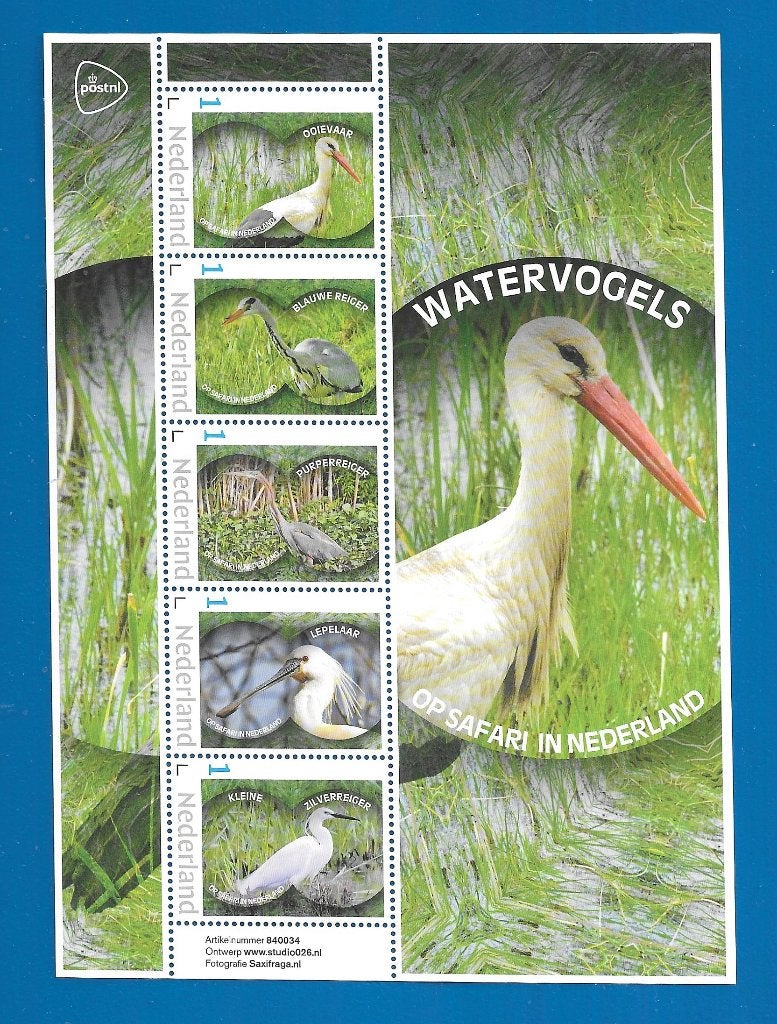 NVPH V3642P Op safari in Nederland Watervogels - 2024, Verzenden, Na 1940, Postfris