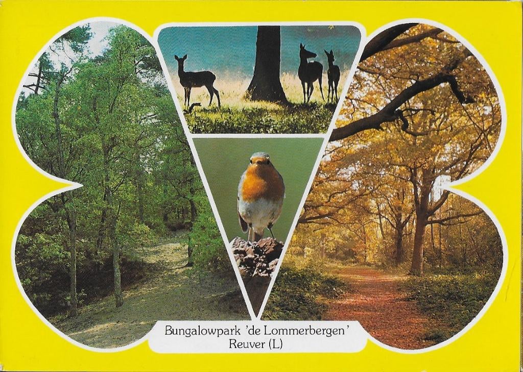 Reuver de lommerbergen bungalowpark ansichtkaart ( a590), Verzamelen, Ansichtkaarten | Nederland, Ophalen of Verzenden, 1980 tot heden