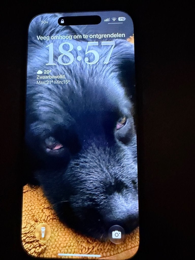 Foto 3 van Apple iPhone 16 Pro