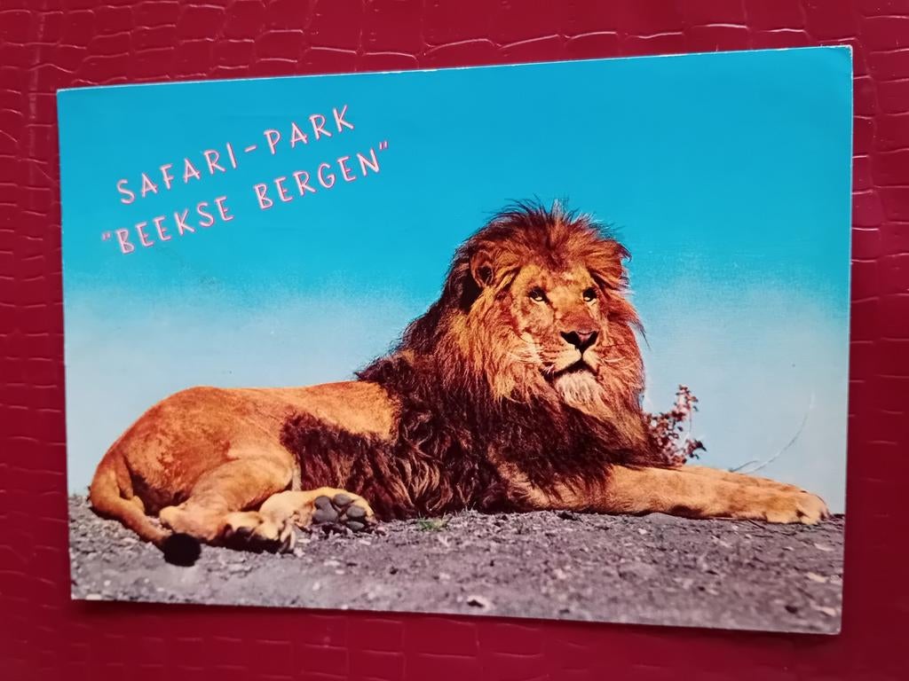 Ansichtkaart Hilvarenbeek, Verzamelen, Verzenden, Noord-Holland
