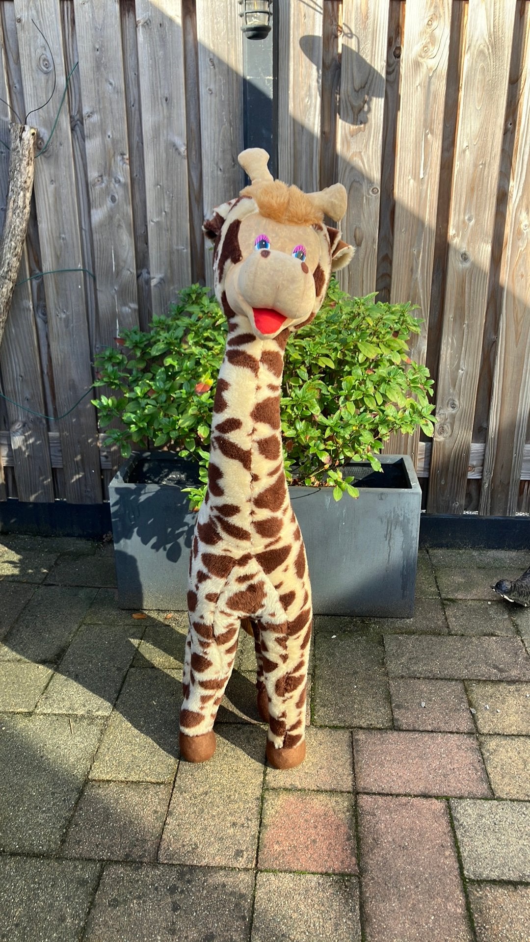 Geote Giraf knuffel, Ophalen, Gebruikt, Overige typen, Groot (groter dan 80 cm)
