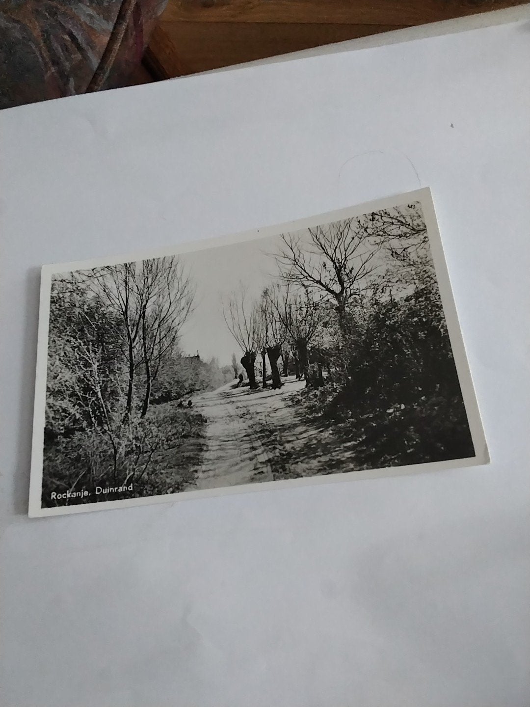 Oude ansichtkaart Rockanje, Duinrand - Zwart-wit foto, Ophalen of Verzenden, 1960 tot 1980