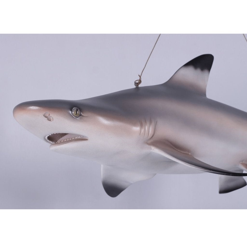 Shark Tip Reef Black beeld – Haai Lengte 115 cm, Ophalen, Nieuw, Overige typen