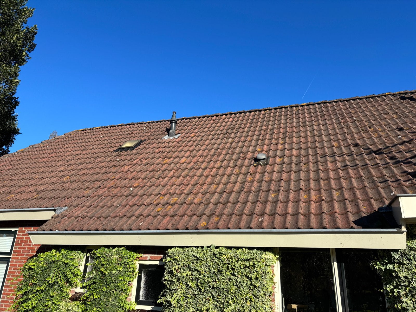 Betonnen Sneldekpannen - Bruin (Vorst- en Gevelpannen), Ophalen, Gebruikt, Dakpannen, Overige kleuren