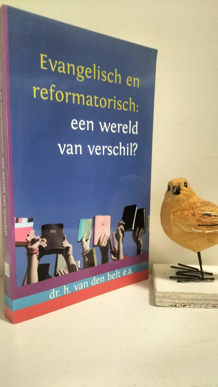 Belt, Dr. H. van den; Evangelisch en reformatorisch, Ophalen of Verzenden, Gelezen, Christendom | Protestants