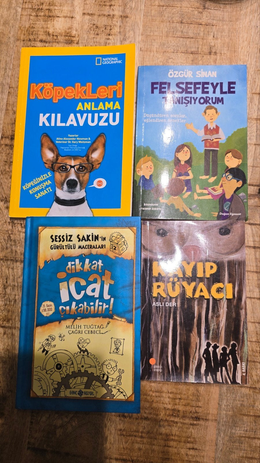 Gratis Turkstalige kinder boeken, Ophalen