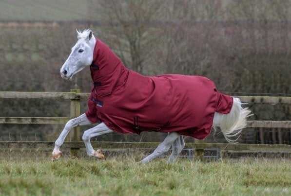 Bucas Freedom T/O 150/150 F/N 130/175, Dieren en Toebehoren, Nieuw, Maasbracht, Ophalen of Verzenden, Gersalsport@home.nl